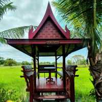 พาไปคาเฟ่กลางทุ่งนา ณ ลพบุรี