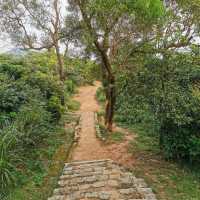 Hiking in time Coloane Trail (8100m)