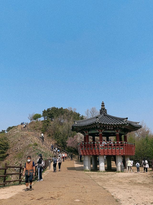 계양산성 ⛰️ 인천 피크닉 추천지