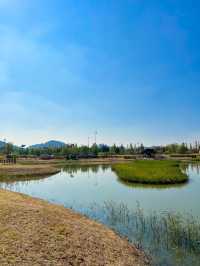 시흥갯골생태공원에서 가을분위기 즐기기🌾🧡