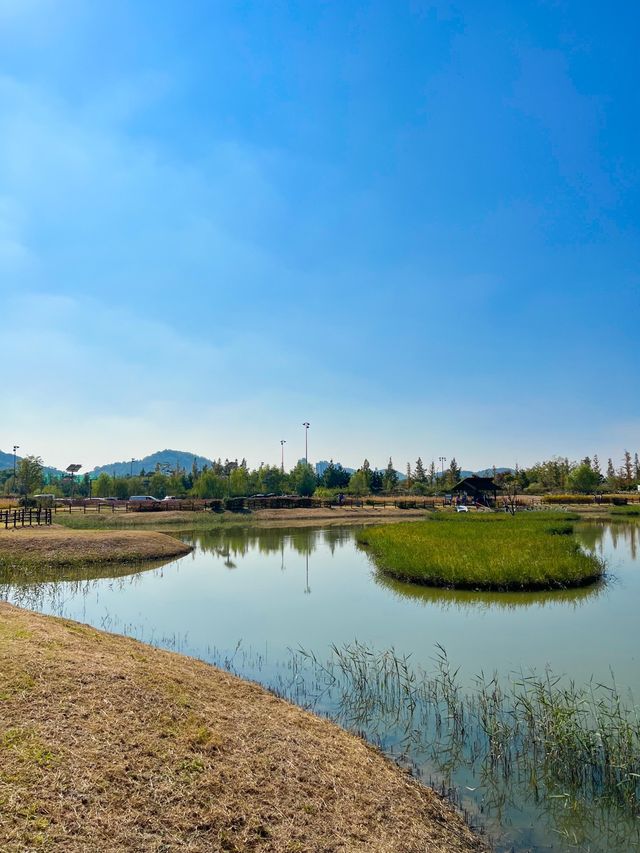 시흥갯골생태공원에서 가을분위기 즐기기🌾🧡
