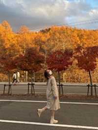 Fall things in Nagano