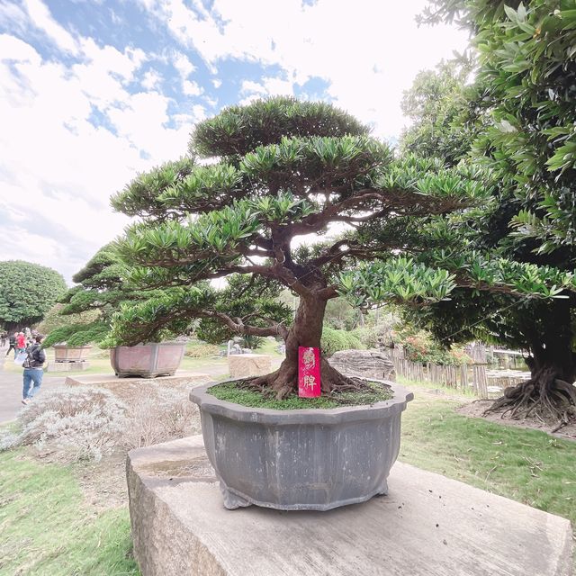 彰化御花園-萬景藝苑