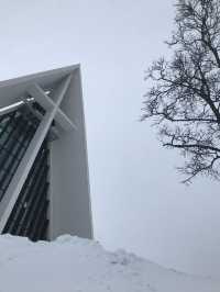 Arctic Cathedral