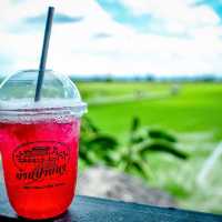 One day trip ณ นครปฐม