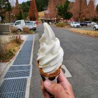 Rokko farm