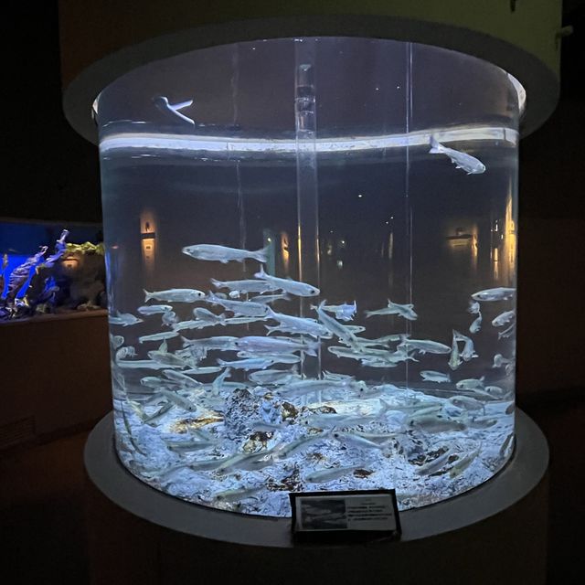 【北海道】登別マリンパークニクス