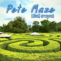 ⭐⭐Pete Maze🌲🌲