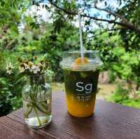 🥤Summer Green cafe🍃