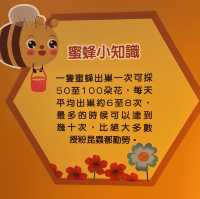 BEE SUMMER