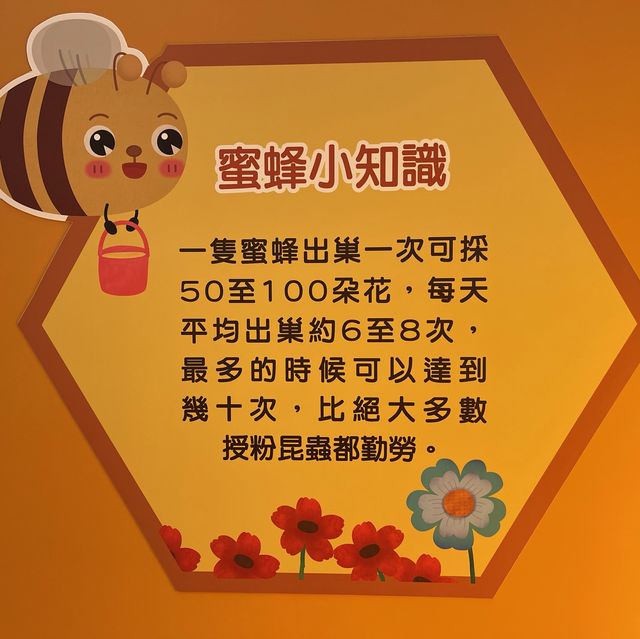 BEE SUMMER