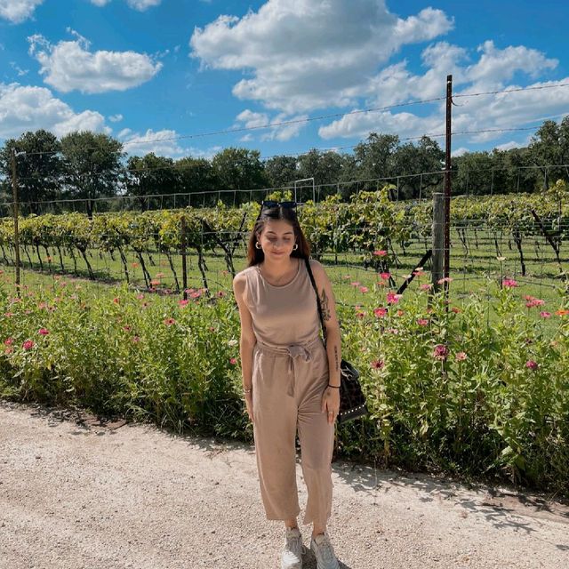 The Dry Comal Creek Vineyards