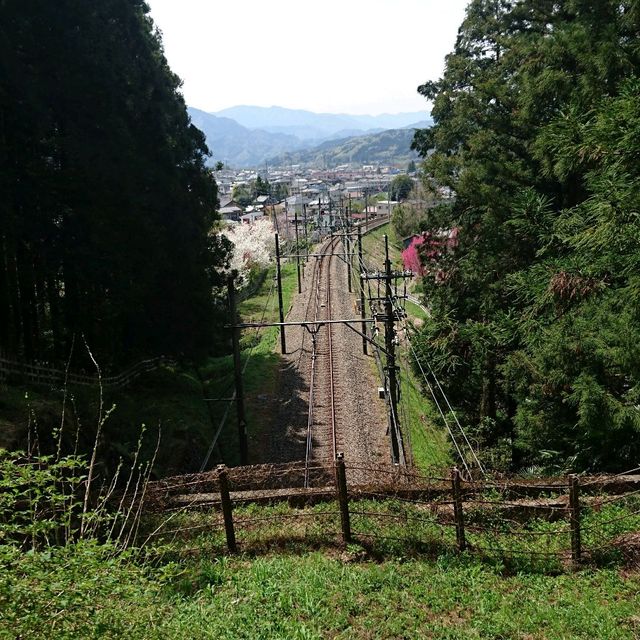 〜芝桜の丘・見晴らしの丘〜【羊山公園】