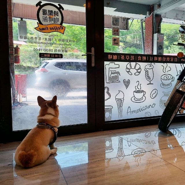 【新北】下午茶|店犬柯基|時間厝咖啡館