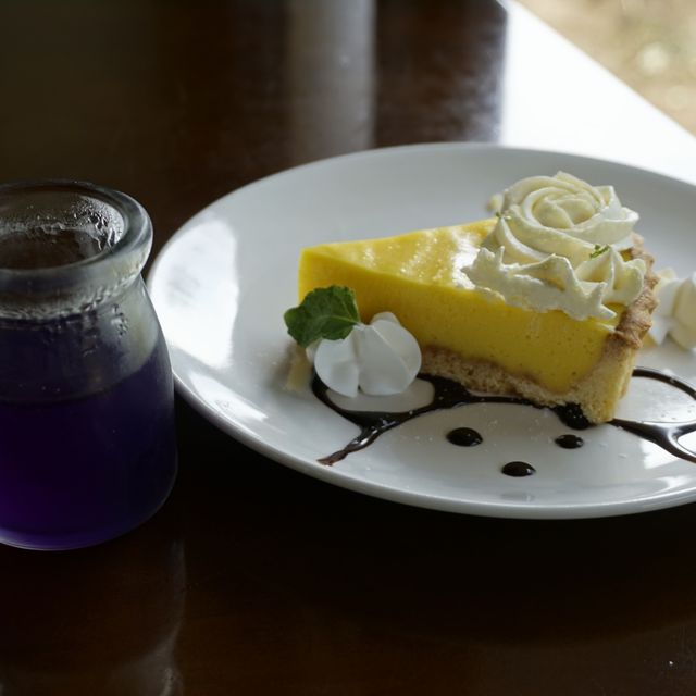 【桃園新屋.美食】-永安61庭園咖啡(生態農場)