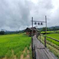 บ้านนอก ฮอกควาย สบายๆ เมืองคอง