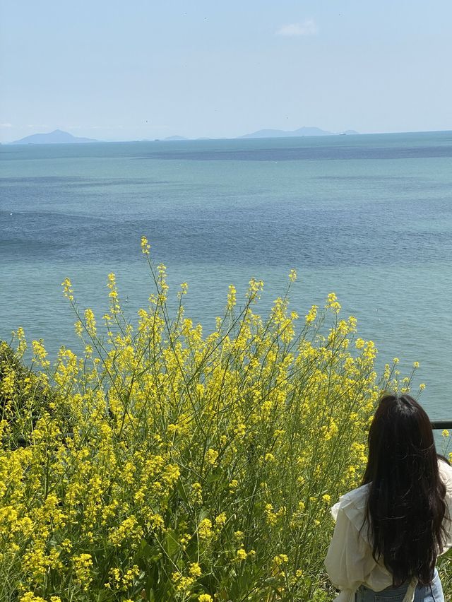 바다와 꽃밭이 공존하는 곳 🌊 🌼