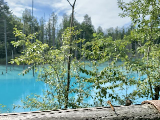 【北海道観光】北海道といえばココでしょ！？