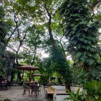 ค่าเฟ่สไตล์สวนป่า กลางเมืองเชียงใหม่