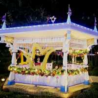 [聖誕🎄好去處] ～ 超靚的迪士尼樂園夜景😊 