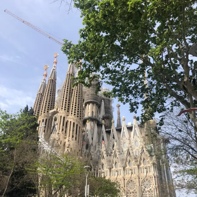 [스페인 바르셀로나] 사그라드 파밀리아 성당, 꼭 예약하세요! 