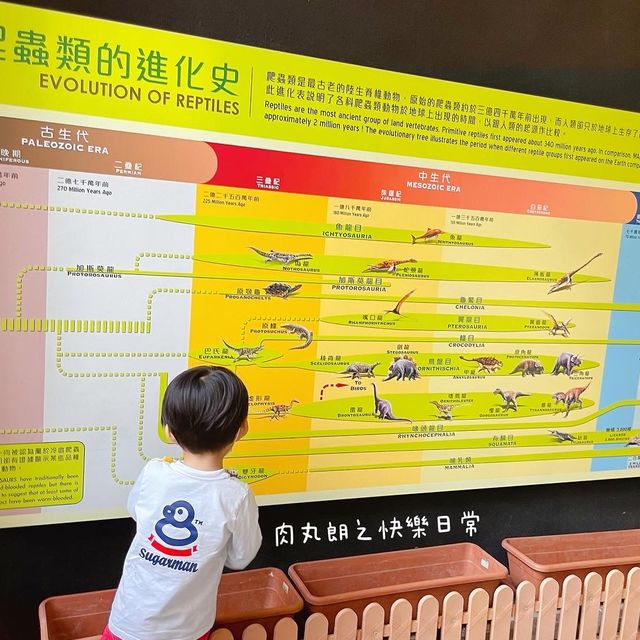 免費動物全接觸