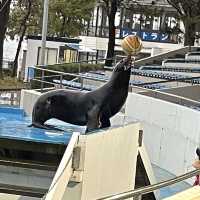 石川県　のとじま水族館