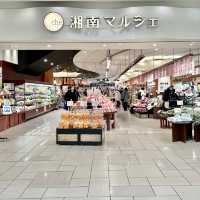 テラスモール湘南で福袋探し