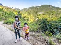 BB級行山路線：香港仔水塘