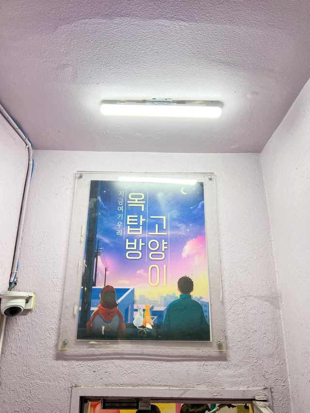 대학로 핫플 예매율1위 연극 '옥탑방고양이'