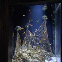 SEA LIFE 선샤인코스트 수족관 , SEA LIFE Sunshine Coast Aquarium