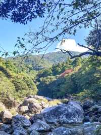 【屋久島 横河渓谷】屋久島の穴場癒しスポット