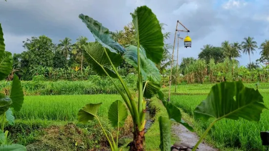 Kopi Klotok Ikan Kriuk