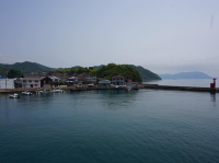 日本廣島｜兔仔島🐰🐰😍😍