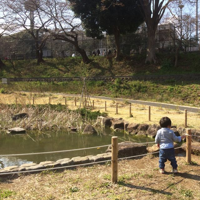 保土ヶ谷公園で自然と遊ぼう！