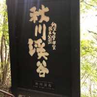 東京郊遊好去處➡️秋川溪谷🤩🤩