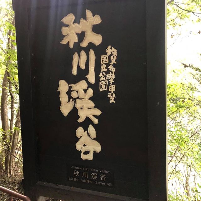 東京郊遊好去處➡️秋川溪谷🤩🤩