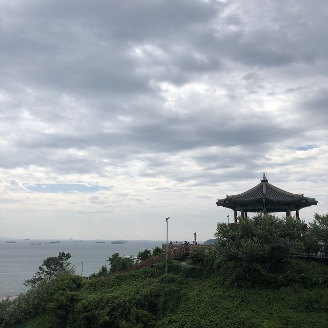 여수에서 해상케이블카 타고 오동도 둘러보기! 