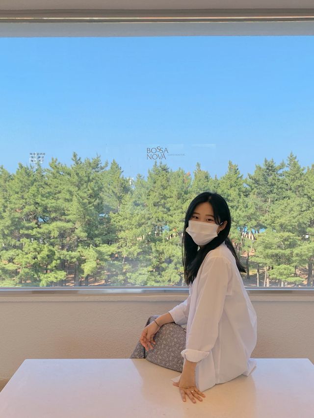 [속초] 바로앞에 속초 바다가있는 속초 보사노바 카페