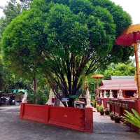 วัดพันอ้น วัดสวยเชียงใหม่