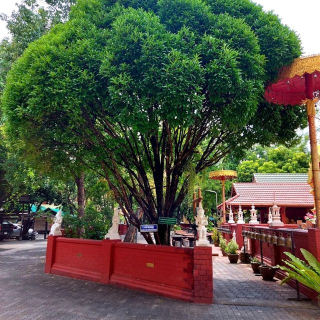 วัดพันอ้น วัดสวยเชียงใหม่