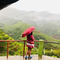 Banaue Rice Terraces 