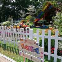 寶康公園 - 花悅滿城 主題園圃
