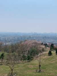 계양산성 ⛰️ 인천 피크닉 추천지