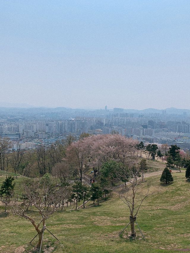 계양산성 ⛰️ 인천 피크닉 추천지