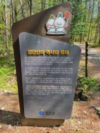 검단산 ⛰️ 하남 피크닉 명소