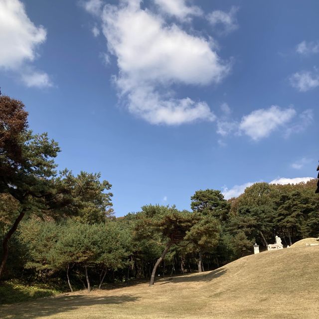 양지 바른 서오릉에서 단풍구경 추천! 🍁🍁