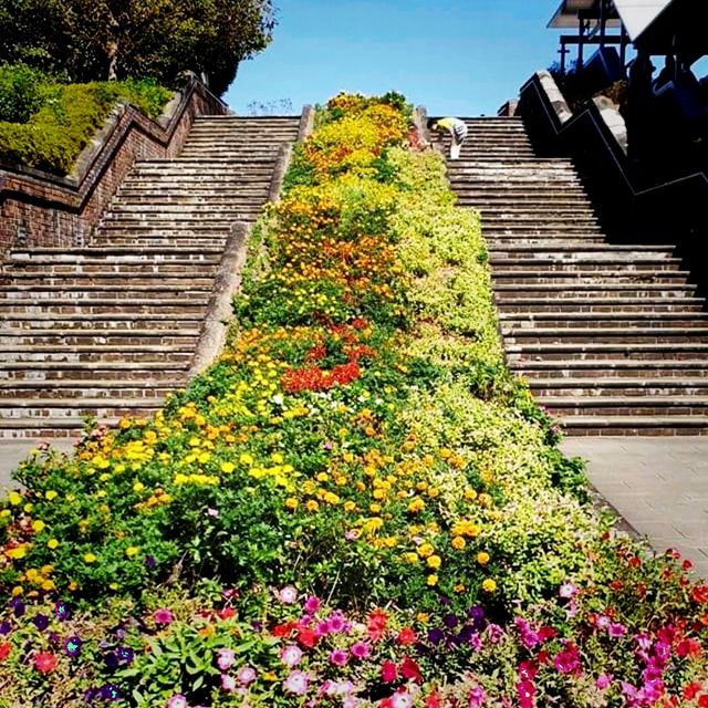 Nagasaki City, the island of Kyushu