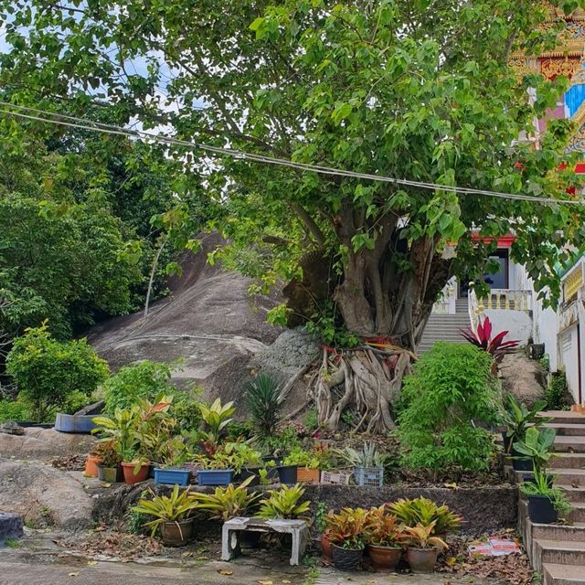 ชมวิวทะเล @ วัดเขาเก้าแสน เมืองสงขลา
