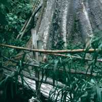 บ้านธารกล่อม นอนฟังเสียงน้ำไหลในอ้อมกอดธรรมชาติ 🌲